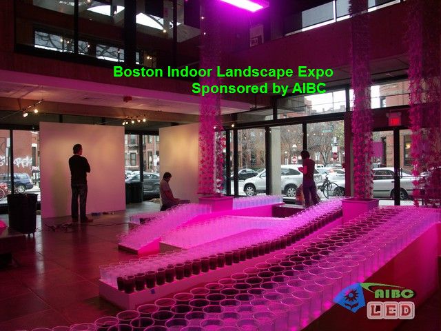 boston-expo