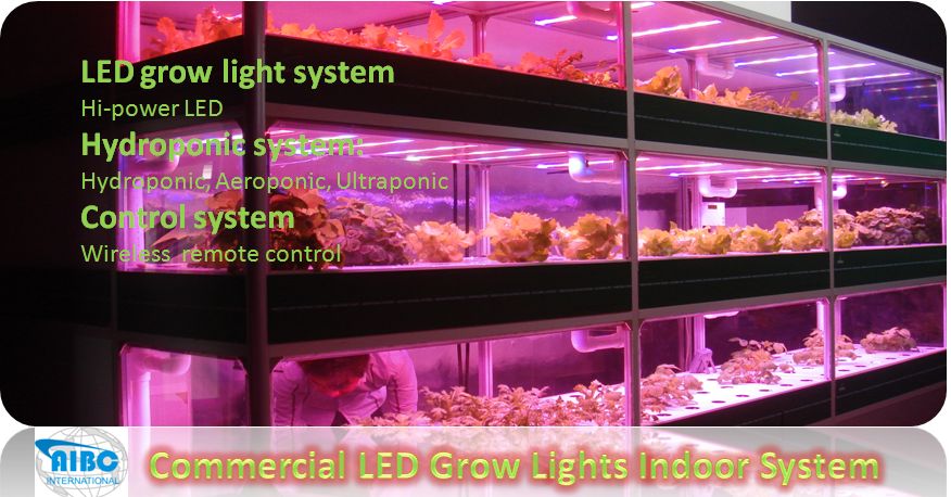 https://ledgrowlightsoutlet.com//commerial-a-industrial-led-grow https://ledgrowlightsoutlet.com//commerial-a-industrial-led-grow